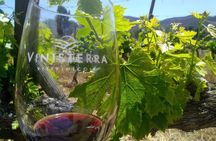 Full Day Private Tour or Guadalupe Valley Weekend