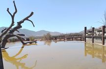 Full Day Private Tour or Guadalupe Valley Weekend