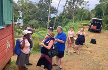 ATV Jungle Safari Tour from Montego Bay