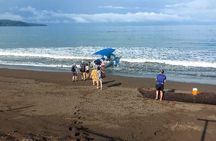 Tour in Corcovado National Park San Pedrillo Station