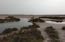 Discover the unusual sites of Dakhla in a 4x4 with a local guide