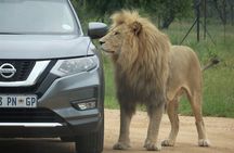 Roar through the bush Quadbike Safari Adventure near Johannesburg