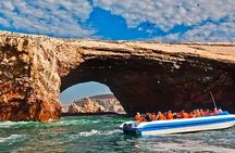 2 Day Tour from Lima: Paracas, Ballestas Island and Huacachina