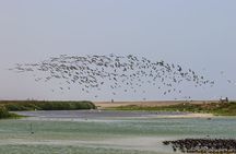 Last Little Wildlife Refuge in Lima