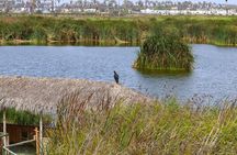 Last Little Wildlife Refuge in Lima