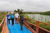Last Little Wildlife Refuge in Lima
