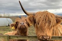 Private Tour of the Scottish Highlands from Edinburgh