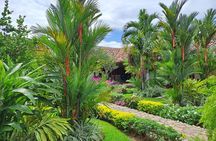 Granada Colonial City Tour and Masaya Volcano