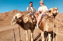 Camel Ride, Bedouin Dinner and Star Gazing in Marsa Alam