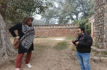 Delhi Highlights: Half Day or Full Day Heritage & City Tour
