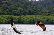 Langkawi Island Hopping Private Boat Tour with Transfer