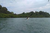 Langkawi Island Hopping Private Boat Tour with Transfer