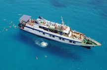 Odyssey Boat Safari from Larnaca