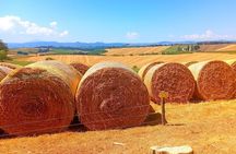 "Sweet Hills of Chianti & San Gimignano" with Lunch & 2 Tastings