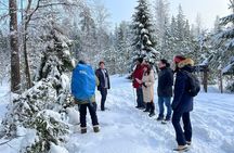 Winter Wonderland Hike in a National Park 