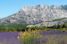 Full-Day Wine and Cheese Tour around Aix-en-Provence from Marseille