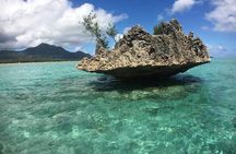 Lydia Boat Mauritius :Private boat tour:Whales&Dolphins encounter