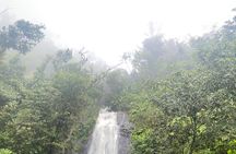 El Yunque National Forest Guided Tour with Transport