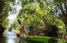 Kayak Adventure in Split