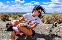Full Day Punta Tombo - Walking Among Penguins Experience - Madryn