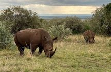 3-Day Masai Mara Safari Jeep Tour
