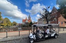 Gdansk: 2H City Sightseeing Tour LIVE GUIDED by Buggy/Golf cart 