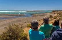 Full Day Peninsula Valdes Experience - optional Whale Watching 