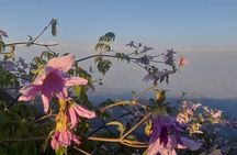 Kathmandu UNESCO World Heritage sites and Nagarkot Sunset Tour 