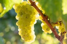 Minoan Crete: Knossos Palace, Winery Visit and Lunch at Archanes 