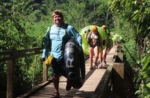 Deluxe Cave Tubing combo Adventure