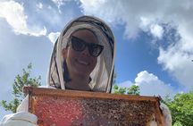 Reagan’s Honey Beekeeping Adventure