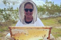 Reagan’s Honey Beekeeping Adventure