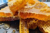 Reagan’s Honey Beekeeping Adventure