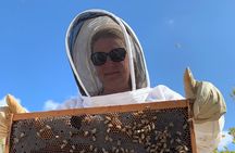 Grand Cayman Beekeeping Experience – Hands-On Hive Tour