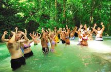Blue Hole and Dunn's Falls Tour from Falmouth