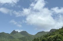 El Yunque National Forest Guided Tour with Transport