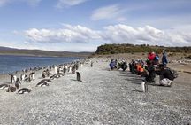 Ushuaia: Beagle Walk Among Penguins Navigation to Isla de Lobos