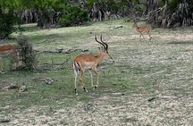 3Days Nyerere National Park Private tour