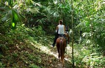 Horse Riding through Jungle with Local Lunch