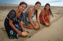 Baby Turtle Release Tour + Pick up + Courtesy in Puerto Escondido!