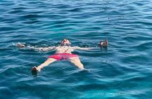 Private Boat Tour to Rosario Islands