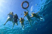 Snorkel along the coast, explore two reefs by Chivis del Mar 