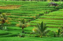 Full Day Private Water Temples Tour in Bali