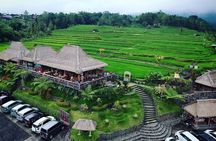 Full Day Private Water Temples Tour in Bali