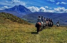 Full-Day Cotopaxi National Park Horseback Ride hike for Beginners