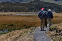 Full-Day Cotopaxi National Park Horseback Ride hike for Beginners