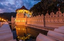 Kandy & Pinnawala Elephant Orphanage Day Trip from Negombo