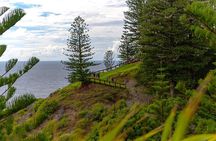 Breakfast Bushwalk in Norfolk Island