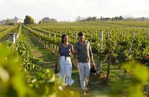 Semi-Private Wine Tour of 2 wineries with wine Tastings 