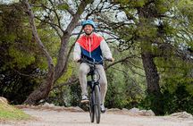 Nice City Best Highlights E-bike Tour